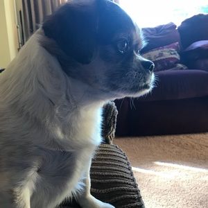 Meet your Posher, Danika